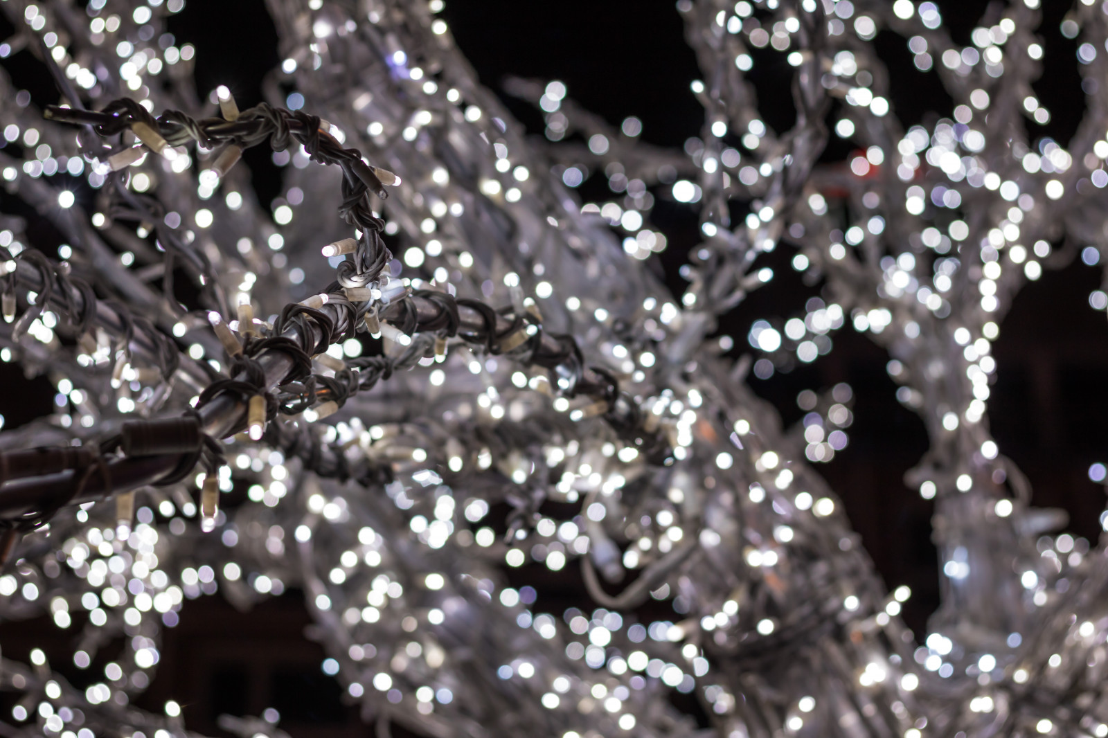 světla, větev, Německo, Vánoce, Vánoční osvětlení, zmrazení, strom, květ, Vánoce, tr d, vánoční trh, července, Německo, deutschland, Rostock, julmarknad, exif modelu canoneos760d, geocountry, Kamera aby kánon, geocity, Model fotoaparátu canoneos760d, geostate, geolocation, exif aby kánon, exif isospeed 160, exif focallength 50mm, EXIF ef50mmf18stm čočka, EXIF otvor 28, weinachtsmarkt, vánoční dekorace, makro fotografie