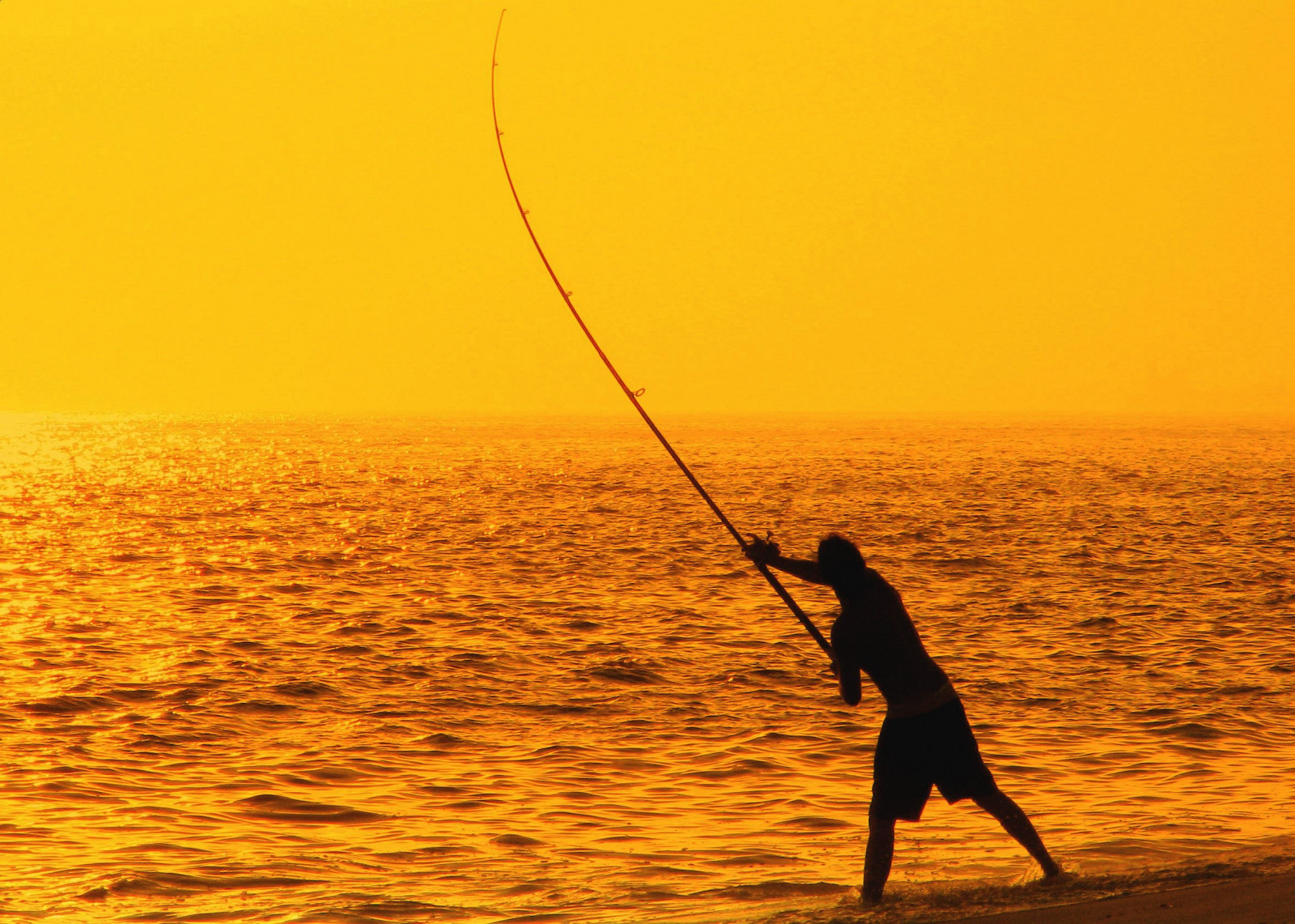 แสงแดด, พระอาทิตย์ตก, ทะเล, น้ำ, ฝั่ง, ทราย, ท้องฟ้า, ภาพเงา, ชายหาด, พระอาทิตย์ขึ้น, เงียบสงบ, สีเหลือง, ตอนเย็น, เช้า, ดวงอาทิตย์, ขอบฟ้า, ฤดูร้อน, ซันนี่, แสงกลางวัน, บราซิล, ความสุข, ตกปลา, ชาวประมง, ส่องแสง, วันหยุด, เบา, สวย, ดี, มหาสมุทร, คลื่น, มีเสน่ห์, มหัศจรรย์, น่าแปลกใจ, น่ารัก, ขลัง, ช่วงเวลา, สมบูรณ์แบบ, เยี่ยมยอด, แสงแดด, ยอดเยี่ยม, ฤดูร้อน, อเมริกาใต้, การพักผ่อนหย่อนใจ, outstandingshots, Riodejaneiro, วันที่แดดจ้า, Niteroi, การตกปลา