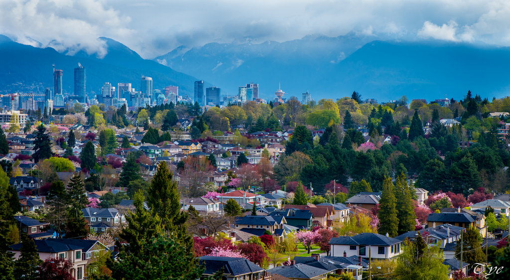 træer, landskab, by, bybilledet, bakke, natur, himmel, Turisme, skyline, landsby, aften, by, panorama, fugleperspektiv, forår, metropol, mount landskaber, Vancouver, Sky, træ, downtown, blad, bjerg, plante, farverig, huse, eng, milepæl, dagtimerne, forstad, byområde, turistattraktion, bjergrige landskabsformer, hovedstadsområde, kvarter, boligområde, højhus, bjergkæde, hill station, I, bjerglandsby, todd