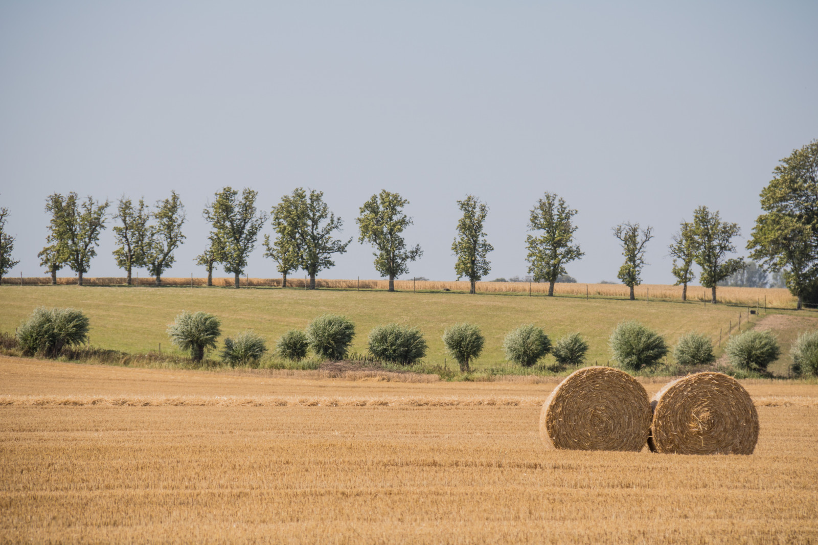 paesaggio, collina, erba, campo, azienda agricola, cannuccia, fieno, albero, scenario, prateria, pianta, campagna, pascolo, landsbygd, Landskap, modello canoneos760d exif, geocountry, Marca fotocamera Canon, Geocity, modello di fotocamera canoneos760d, geostate, geolocalizzazione, Lente exif efs18200mmf3556is, exif fare canon, exif ISOSPEED 100, apertura exif 71, exif focalLength 150 millimetri, halm, agricoltura, prato, pianura, prateria, raccolto, suolo, area rurale, ecosistema, famiglia di erba, savana