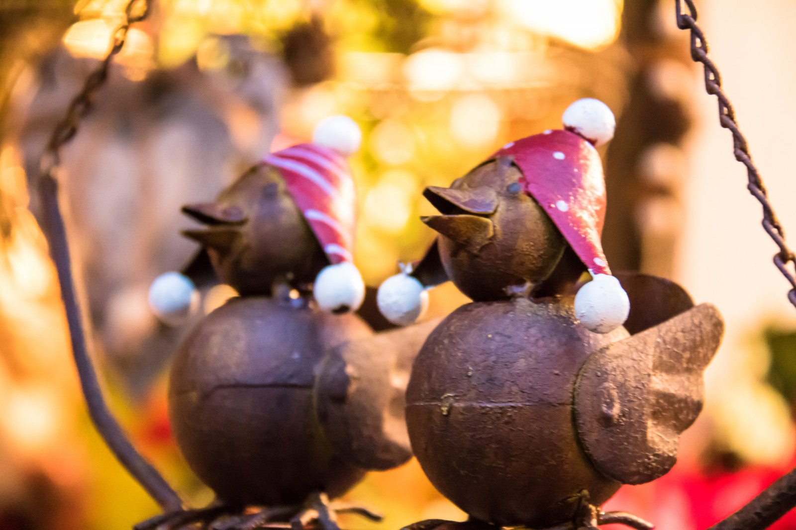 tempio, cibo, ramo, Germania, Natale, primavera, colore, albero, autunno, foglia, fiore, stagione, natale, negozio natalizio, luglio, Germania, deutschland, rostock, Julmarknad, modello canoneos760d exif, geocountry, Marca fotocamera Canon, Geocity, modello di fotocamera canoneos760d, geostate, geolocalizzazione, Lente exif efs18200mmf3556is, apertura exif 56, exif fare canon, exif ISOSPEED 6400, exif focalLength 100 millimetri, Weinachtsmarkt, tradizione, produrre, decorazione natalizia, fotografia macro