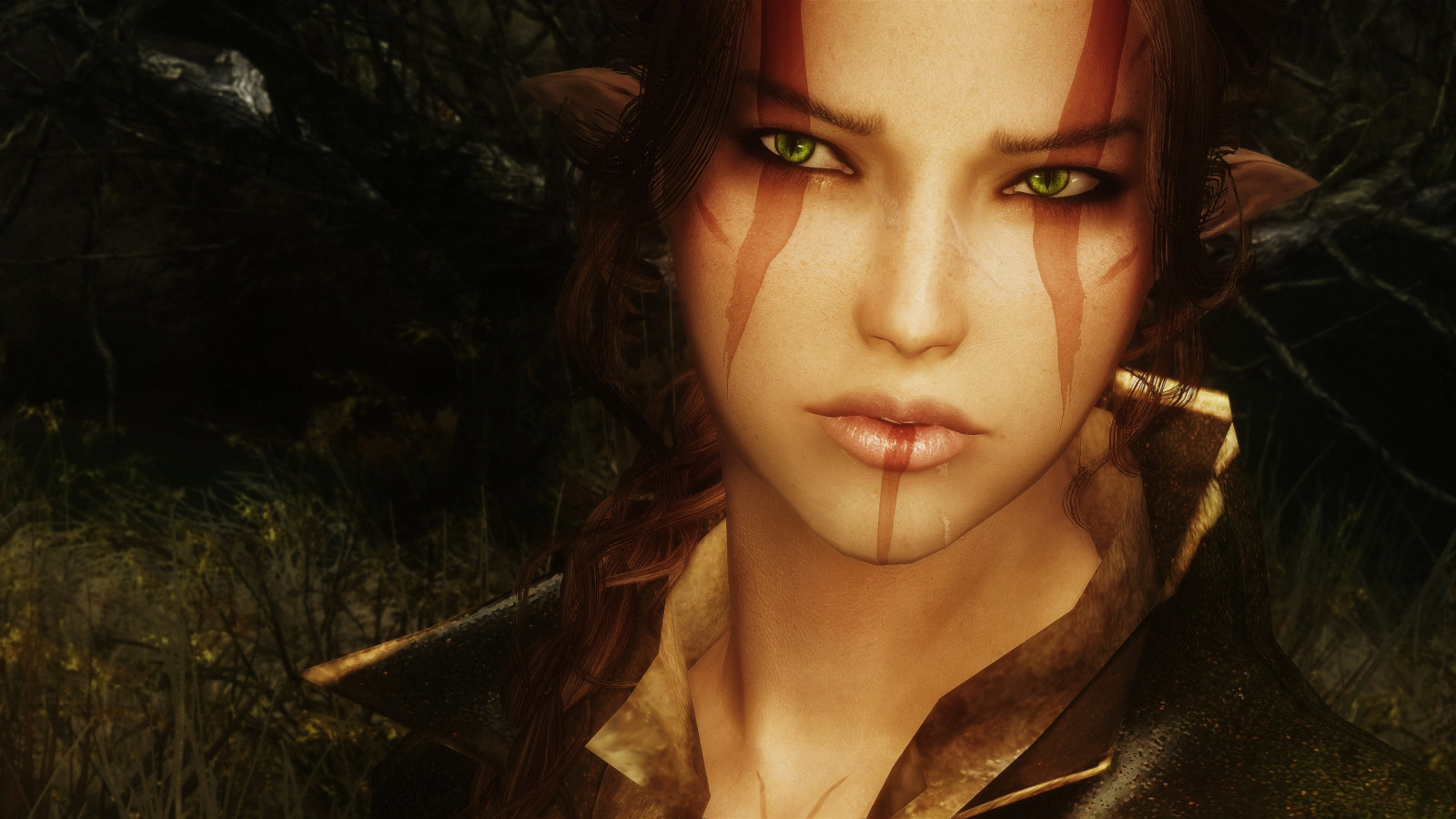 tvář, model, portrét, fotografování, Osoba, hlava, ENB, dívka, krása, oko, dáma, tma, obraz, Snímek obrazovky, videohry, Skyrim, portrétní fotografie, hnědé vlasy, umění model, fiktivní postava, orgán, screenshoty, modding, pcgaming, hledík, tetrodoxin, staré svitky, mods, snapdragonenb, elderscrollsv