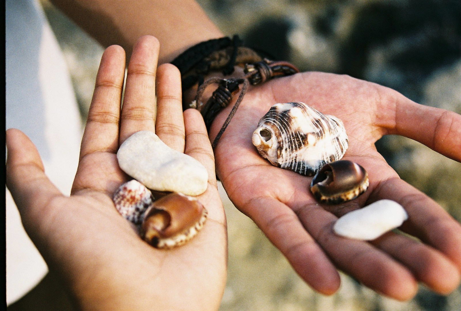ruce, 35MM, mušle, Indonésie, ruka, nehet, prst, film, šperky, mořský šnek, zdroj živočišných potravin, škeble, nikonfm10, škeble ústřice mušle a lastury, koukol, bayah, sawarna