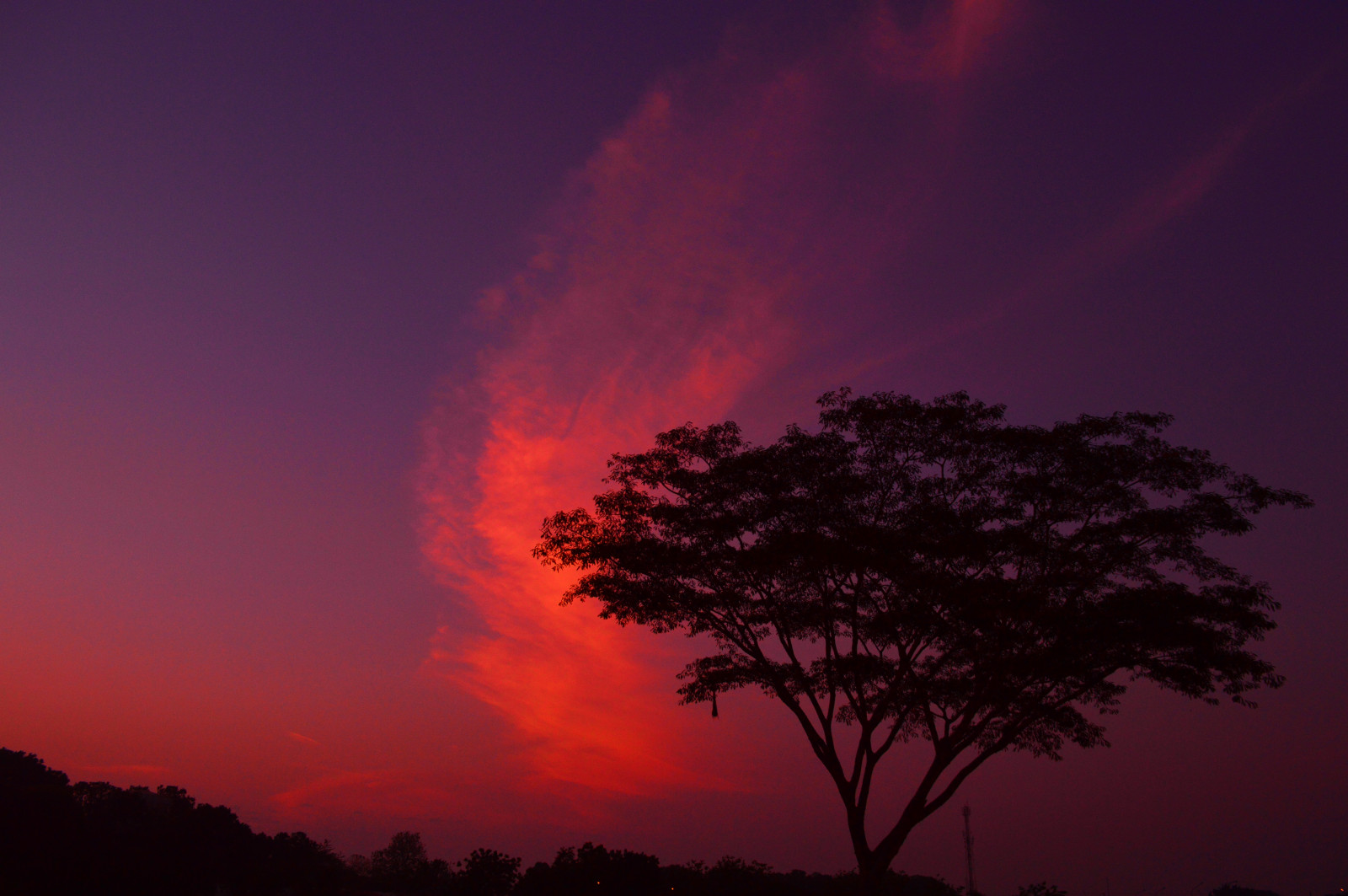 luce del sole, alberi, paesaggio, 500px, tramonto, fiori, pianeta, natura, cielo, piante, viola, nuvole, Terra, Alba, fulmine, macchina fotografica, sera, mattina, Sole, orizzonte, mondo, atmosfera, estate, Nikon, vita, crepuscolo, Venezuela, controluce, casa sull'albero, colore, nube, bellissimo, albero, alba, Esplorare, flickraward5, flora, cielo, naturaleza, colores, vida, contraluz, amanecer, Stupefacente, oscurità, flickrunitedaward, superbo, meraviglioso, oggi, bello, flickraward, D3200, 1855, platinumheartaward, flickrestrellas, bestcapturesaoi, giorno, artofimages, flickrcentral, top10, nikond3200, flickrcolors, thisphotorocks, Nikonist, sfondo del computer, atmosfera della terra, ultimi bagliori, fenomeno geologico, cielo rosso al mattino, fenomeno meteorologico, cumulo, Esperienza, fenomeno, Cielos, Venezolana, Springbeauty, Colourselect, Oggi più bello, Colorsofflickr, Favtop20, Nuurelaly, Venezolanos, Bestcaptures, Neopotografia, Ilflickrcentral