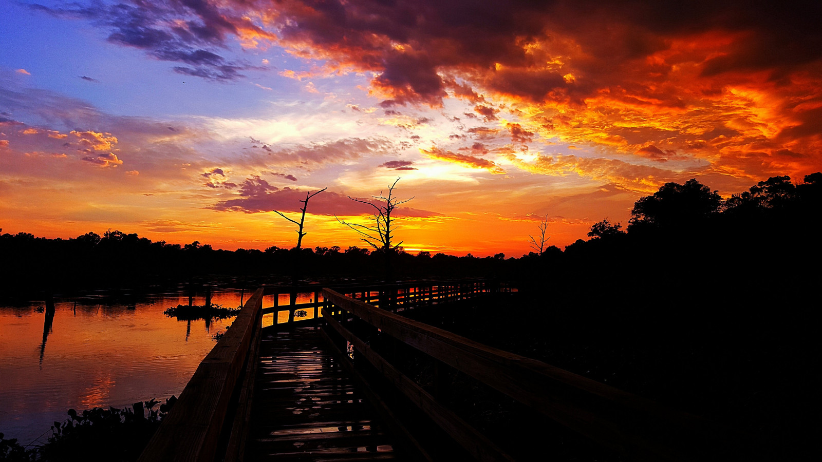 Čína, Kalifornie, výlet, cestovat, modrý, stromy, západ slunce, Červené, letní, nebe, oranžový, mrak, slunce, bílý, Ryba, Chicago, Kanada, strom, zelená, pták, Londýn, milovat, voda, Krásná, Sluneční svit, ptactvo, žlutý, panoráma, mraky, Oregon, mrakodrap, svítání, vodové barvy, Mexiko, washington, jaro, Orlando, rybolov, Španělsko, Montana, Evropa, flickr, Texas, nábřeží, nachový, Florida, zakalený, Procházka, vikýř, sobota, vlna, réva, Slunný, korunách stromů, slunečnice, Everglades, dřevěný, vody, Perla, cestování, cloudporn, floridakeys, bikiny, travelblog, voděodolný, Světlíky, zalévání, Facebook, Vodní květiny, Youtube, Floridabeach, Cvrlikání, skyporn, Texasbeach, Instagram