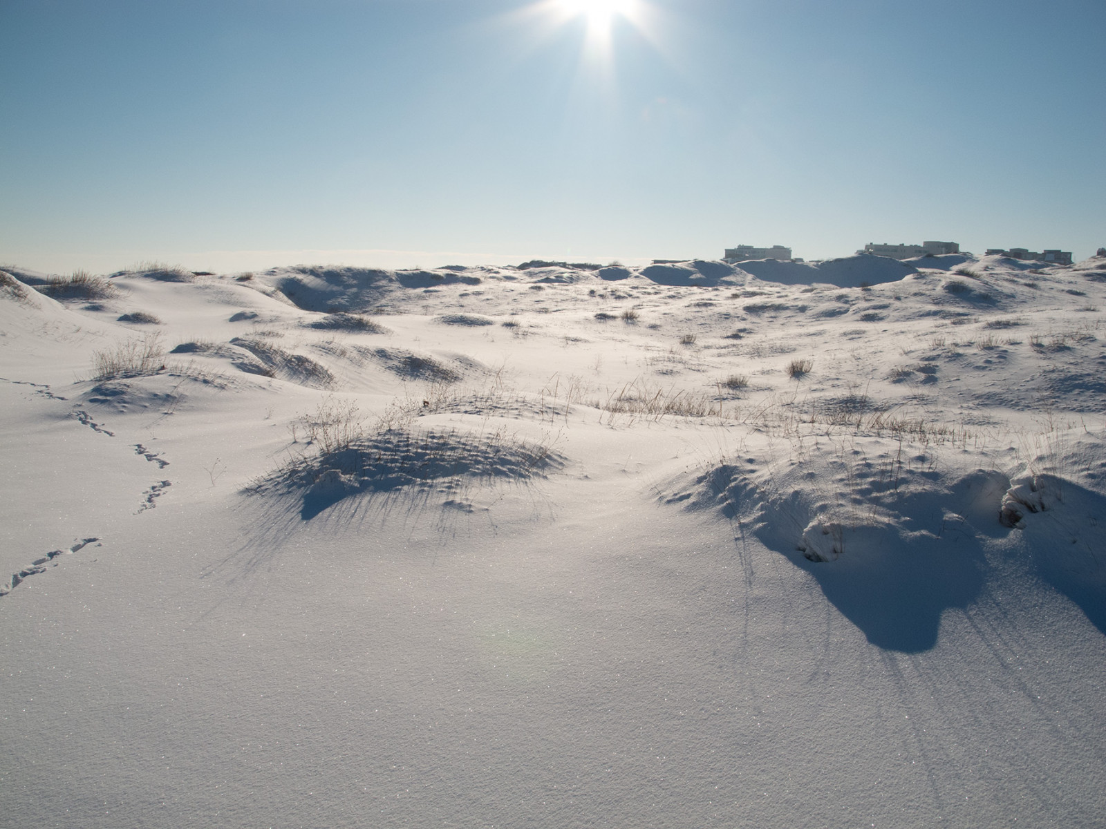 Bulharsko, Evropa, Primorsko, zima, sníh, sezóna, Nikon, coolpix, P7100, nikonp7100