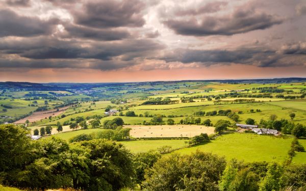 sky,trees,open spaces,clouds,plain,lodges