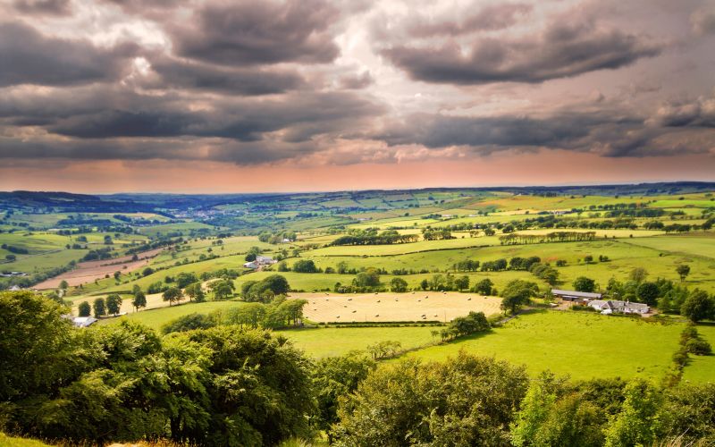 ég,fák,nyitott terek,felhők,egyszerű,menedékházak