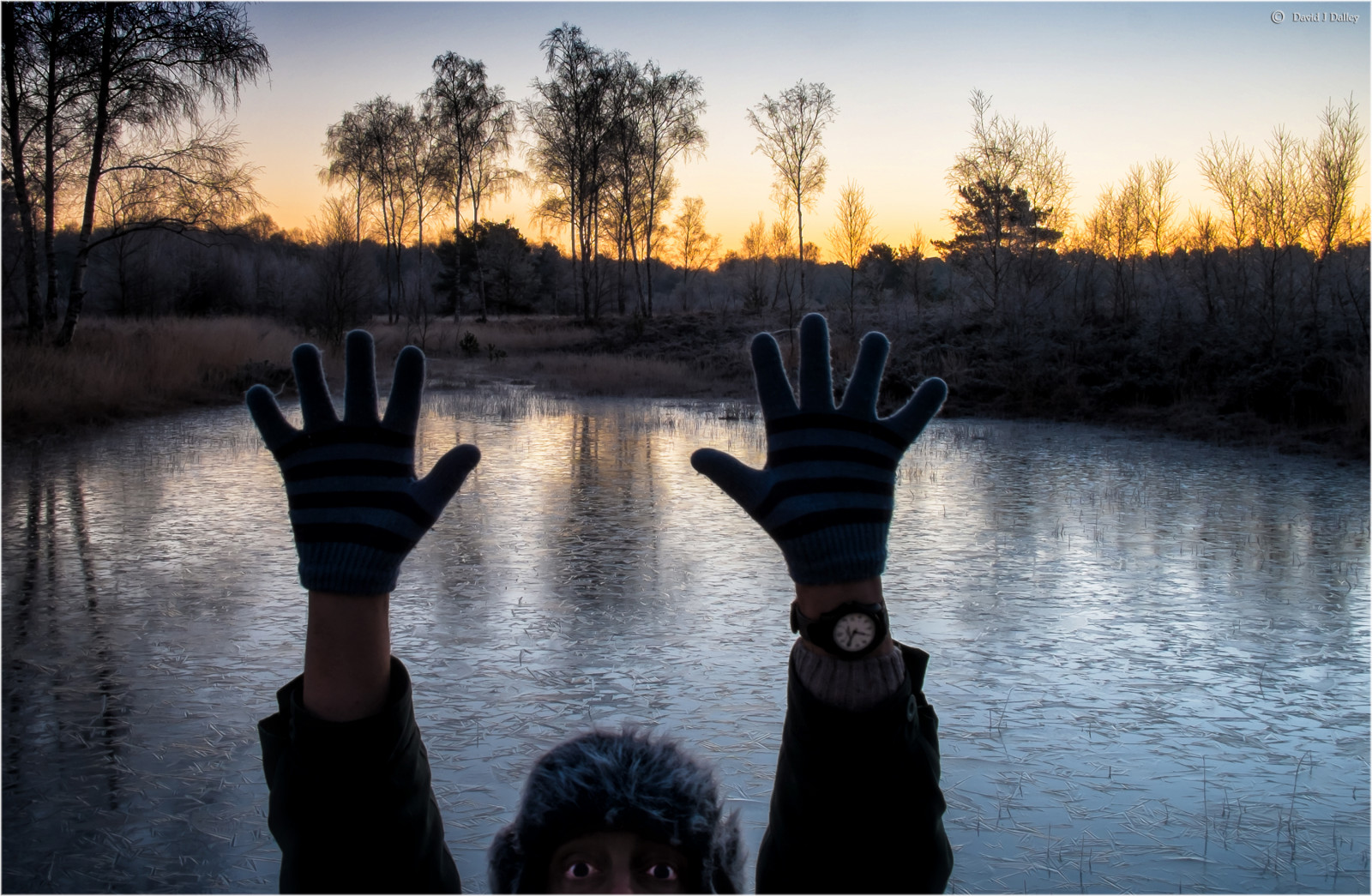 slunečnímu záření, krajina, ruce, oči, západ slunce, jezero, voda, Příroda, hodinky, odraz, nebe, zima, silueta, rukavice, svítání, uklidnit, led, Studený, večer, ráno, řeka, rybník, banka, zmrazení, Vřesoviště, Sussex, strom, svítání, zimní, rostlina, dívka, zamrzlý, brzy ráno, ledový, nebezpečí, přírodní rezervace, xpro1, bayou, svítání, zmrazit, downland, Západní Sussex, východ slunce, Southdowns, daviddalley, davidjdalley, fujixpro1, fujifilmxpro1, ipingcommon, Pomoc, Midhurst, Stedham, southdownsnationalpark, vřesoviště, sussexwildlifetrust, fitzhallheath, elstedroad, iping, stedhamwithiping, ruce vzhůru