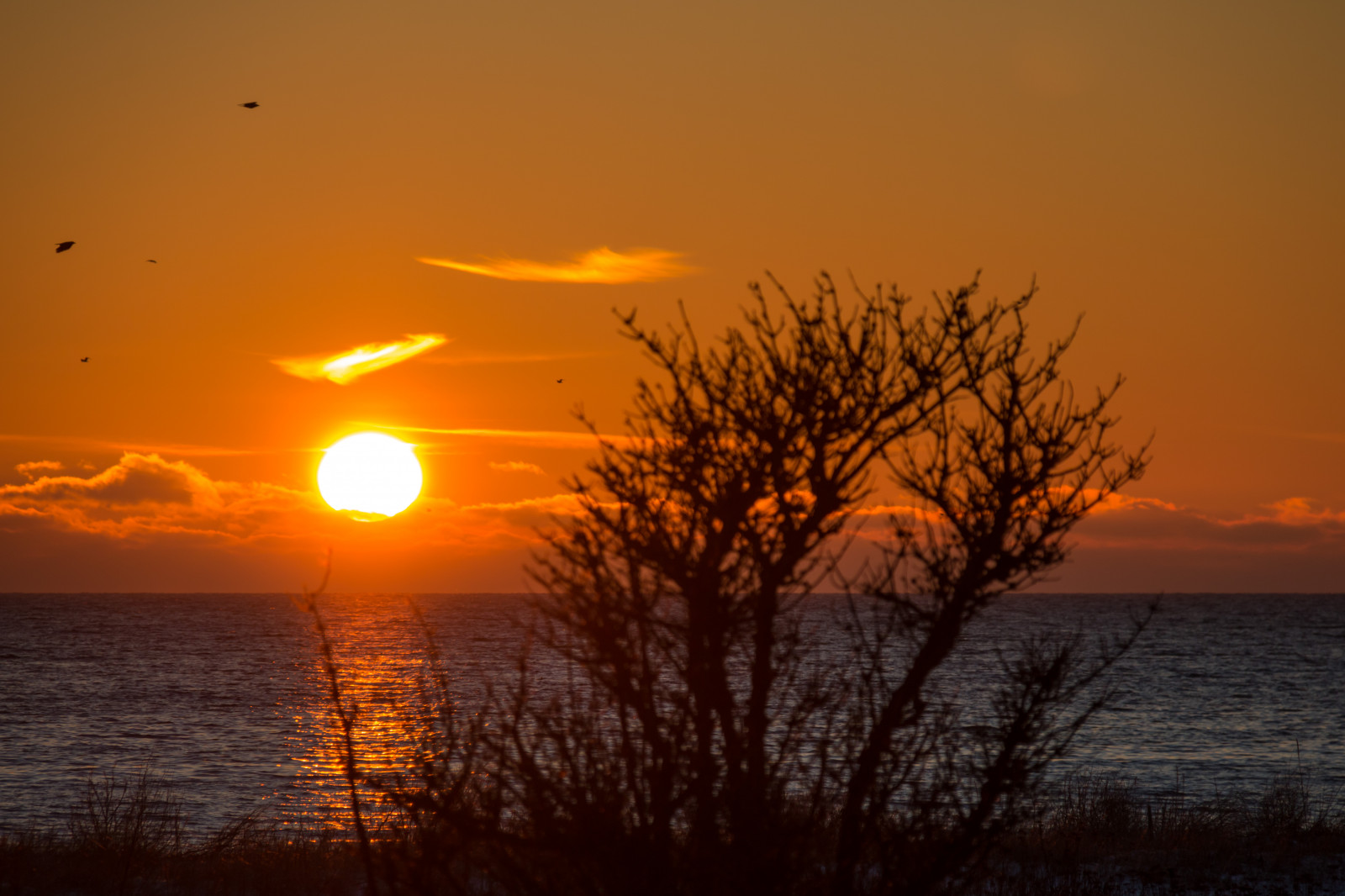 sollys, solnedgang, hav, vinter, solopgang, aften, morgen, kyst, Sol, horisont, skumring, daggry, solnedg ng, vinter, hav, Trelleborg, kust, v strasm b tshamnen, exif model canoneos760d, geocountry, kamera gør kanon, geocity, kameramodel canoneos760d, geostate, geolocation, exif linse efs18200mmf3556is, exif gøre kanon, exif isospeed 100, exif åbning 71, exif focallength 170mm, atmosfærisk fænomen, efterglød, rød himlen om morgenen