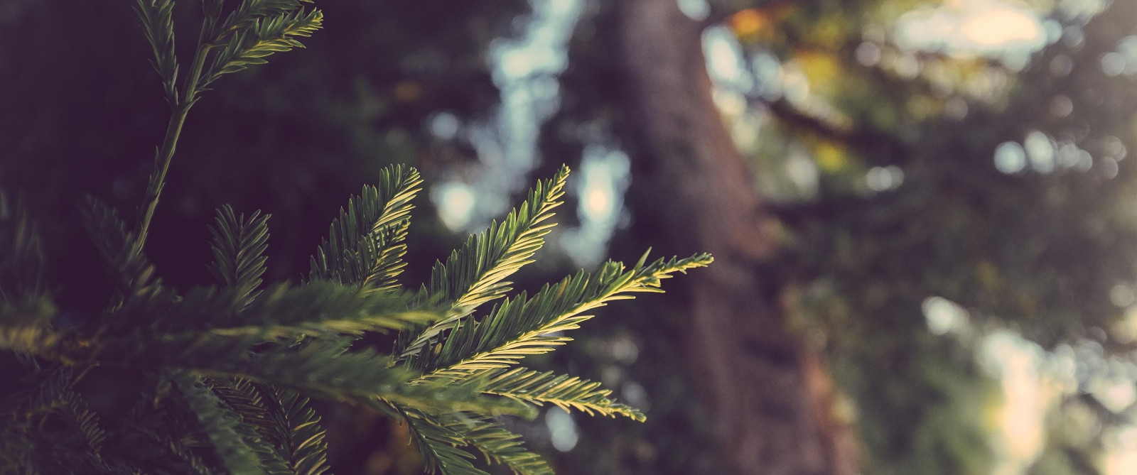 3440x1440 px, krajina, Příroda, fotografování, Ultrawide