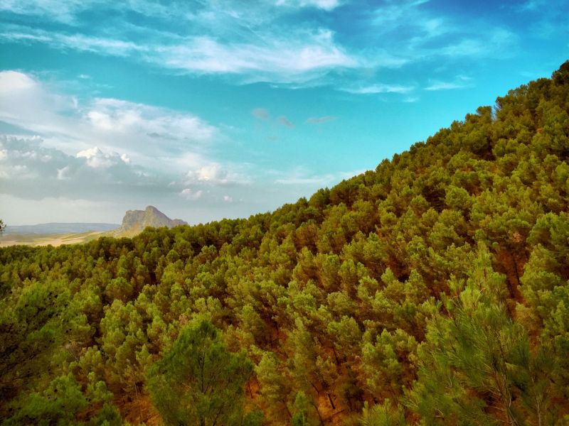 Sonnenlicht, Landschaft, Wald, Hügel, Natur, Berge Sonnenlicht, Landschaft, Wald, Hügel, Natur, Berge