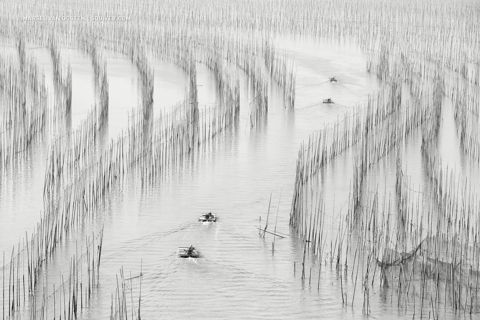 squiver, marselvanoosten, phototour, dílna, Asie, Čína, voda, bambus, tyčinky, stožáry, krajina, černobílý, Černý a bílý, jednoduchý, lodě, fujian