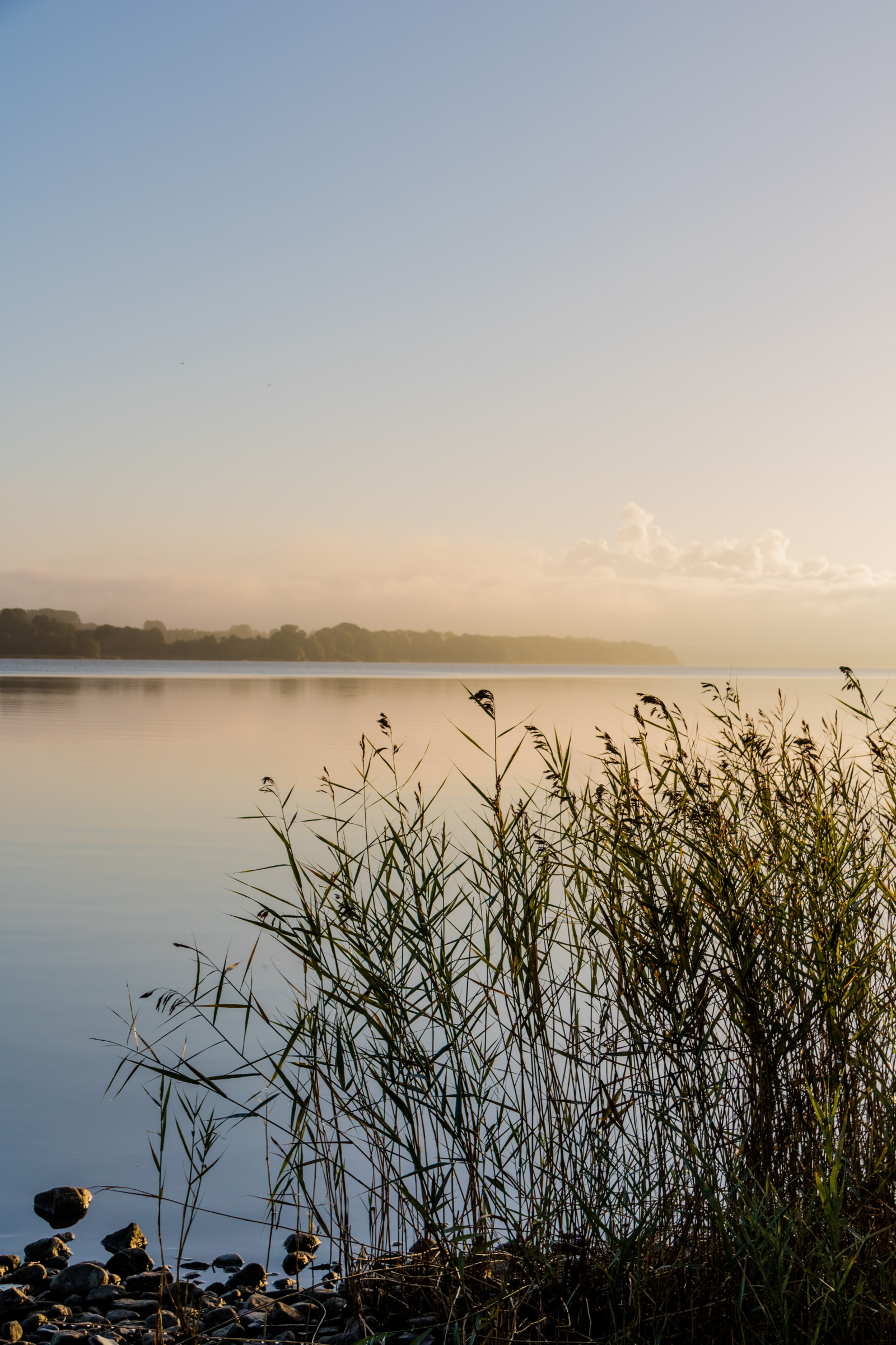 slunečnímu záření, krajina, západ slunce, moře, jezero, voda, Příroda, pobřeží, odraz, tráva, pláž, svítání, večer, ráno, mlha, pobřeží, horizont, soumrak, Klid, mokřadní, klid, mrak, strom, svítání, oceán, h r, sj, soluppg ng, gryning, exif modelu canoneos760d, geocountry, Kamera aby kánon, geocity, Model fotoaparátu canoneos760d, geostate, geolocation, EXIF čočka efs18200mmf3556is, exif aby kánon, EXIF isospeed 100, EXIF otvor 80, exif focallength 35mm, ringsj n, straringsj n, bažina, místo výskytu, přírodní prostředí, atmosférický jev, tělo z vody, tráva rodina