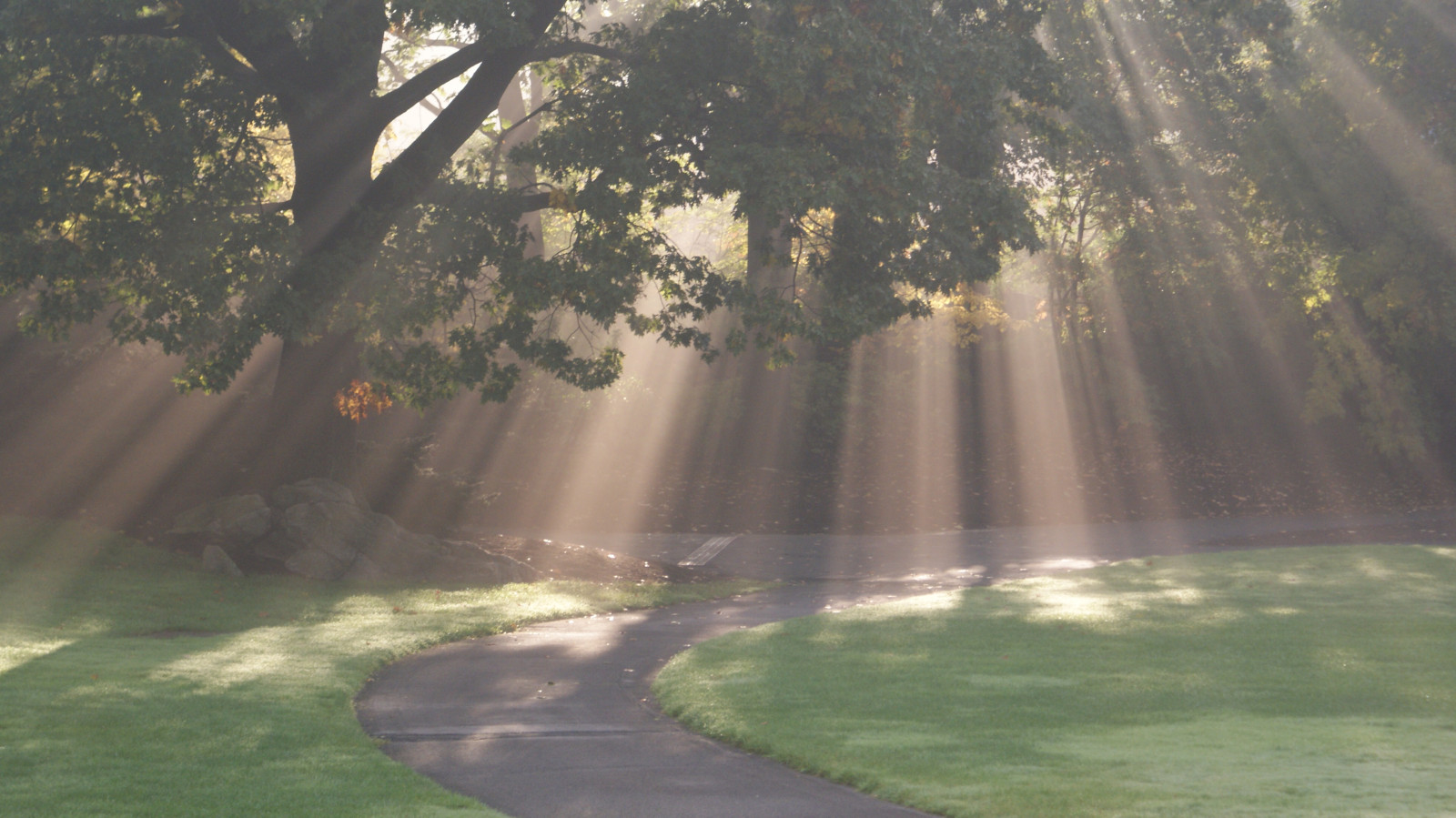 slunečnímu záření, krajina, les, vodopád, jezero, voda, Příroda, milovat, odraz, tráva, fotografování, zelená, Fotoaparát, ráno, mlha, řeka, Sony, svět, proud, vesmír, Bloudit, Duch, svatyně, 2012, 2000, světlo, strom, národní, podzim, list, flickr, široký, skvělý, zeměpisný, umělci, Všechno, galerie, klub, přítel, obraz, cena, tento, z, vy, dík, bytosti, hodně, místo výskytu, atmosférický jev, tělo z vody, vodní prvek, u, dokonalost, nybg, Sandeep, fráze, Mariola, rambonp, nybggallerypoolpicknovember23, santrac, agegallery