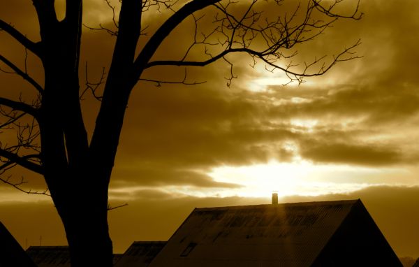 sunlight,sunset,reflection,sky,night,shadow