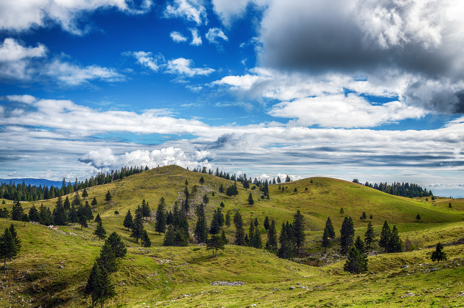 nebe, mrak, horských reliéf, Příroda, divočina, vysočina, hora, lučina, ekosystém, mount scenérie, vegetace, strom, kopec, hřbet, tráva, národní park, pohoří, louka, meteorologický jev, klesl, krajina, les, pole, tundra, stanice hill, během dne, venkov, biome, plošina, pastvina, údolí, spruce fir forest, ekoregion, křoviny, continental divide, prérie, kupa, mírné jehličnatý les, nadmořská výška, horský průsmyk, jehličnatý strom, vrcholek, prostý