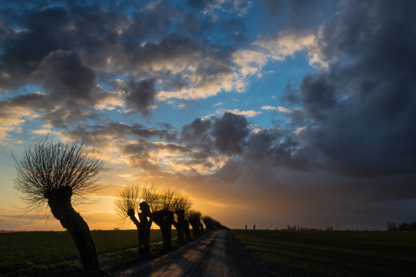 luce del sole, paesaggio, tramonto, natura, cielo, campo, Alba, sera, mattina, orizzonte, atmosfera, crepuscolo, Salice, nube, albero, alba, himmel, solnedg ng, tr d, sk ne, campagna, moln, landsbygd, s dersl TT, Landskap, modello canoneos760d exif, geocountry, Marca fotocamera Canon, Geocity, modello di fotocamera canoneos760d, geostate, geolocalizzazione, Lente exif efs18200mmf3556is, exif fare canon, exif ISOSPEED 100, apertura exif 80, exif focalLength 24 millimetri, Pilar, pil, piltr d, piletr d, pianura, prateria, area rurale, fenomeno atmosferico, fenomeno meteorologico, savana