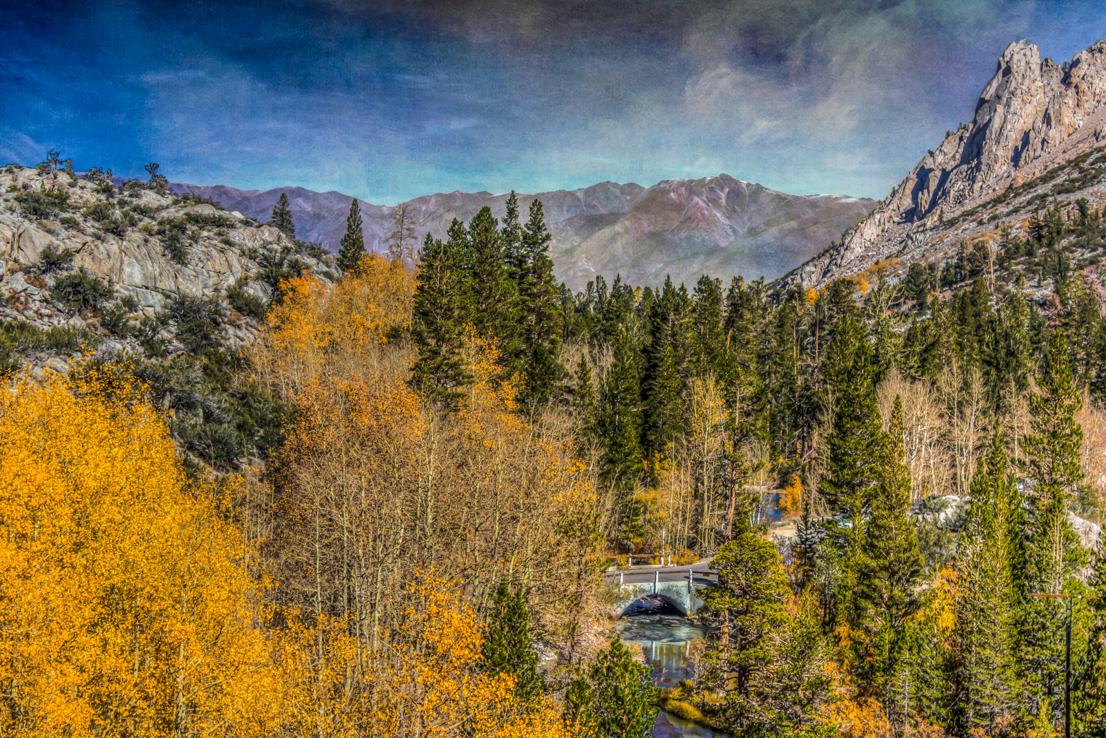 Wallpaper wilderness, leaf, ecosystem, tree, sky, woody plant