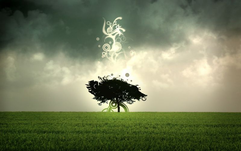 luz de sol, paisaje, naturaleza, césped, cielo, campo luz de sol, paisaje, naturaleza, césped, cielo, campo