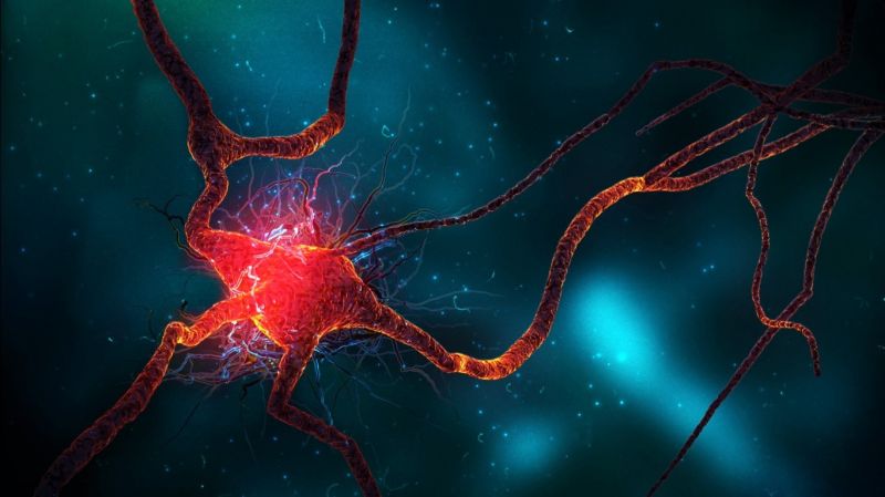 図, 生物学, スクリーンショット, コンピュータの壁紙, フラクタルアート, ニューロン 図, 生物学, スクリーンショット, コンピュータの壁紙, フラクタルアート, ニューロン
