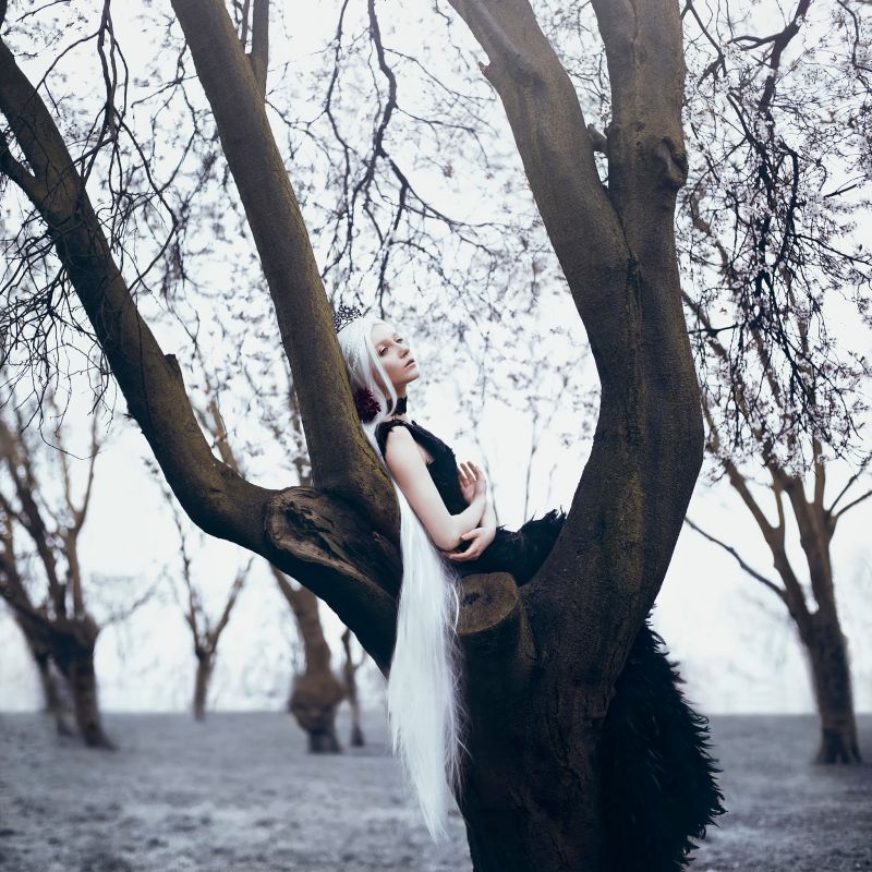 sunlight, trees, women outdoors, women, model, white hair sunlight, trees, women outdoors, women, model, white hair