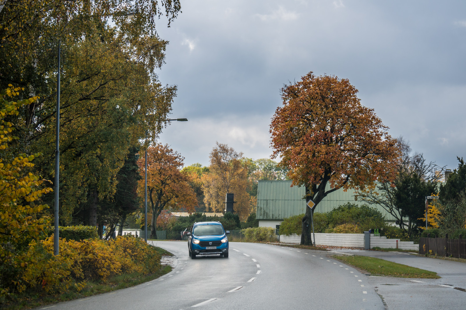 vej, morgen, hovedvej, infrastruktur, træ, efterår, blad, plante, sæson, tr d, v g, s dersl tt, bane, vedplante, kvarter, boligområde