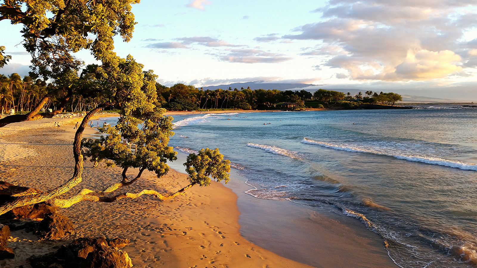 แสงแดด, แนวนอน, พระอาทิตย์ตก, ทะเล, อ่าว, น้ำ, ฝั่ง, ทราย, ท้องฟ้า, ชายหาด, ตอนเย็น, เช้า, ชายฝั่ง, ขอบฟ้า, ร้อน, ฮาวาย, ธนาคาร, ความเงียบสงบ, เมฆ, ต้นไม้, กลางแจ้ง, มหาสมุทร, คลื่น, ริมทะเล, เนื้อน้ำ, ฮาวาย, coastal and oceanic landforms