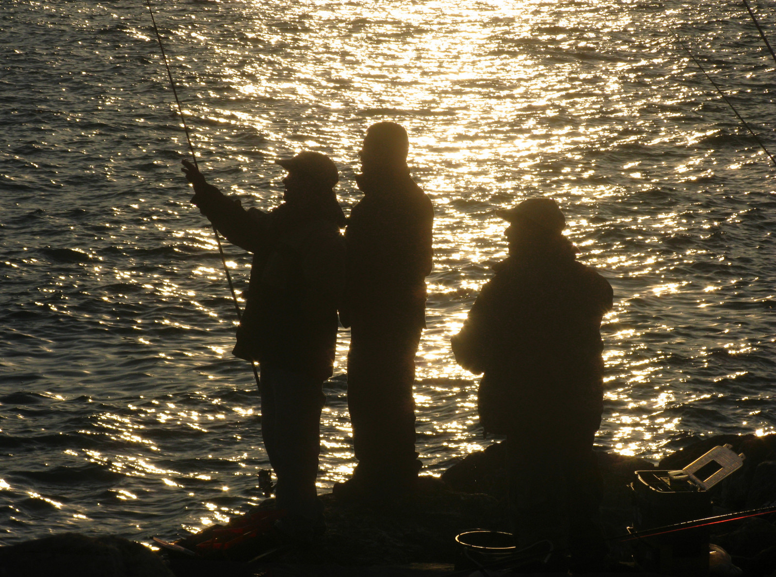 slunečnímu záření, západ slunce, moře, noc, voda, odraz, nebe, stín, silueta, svítání, večer, slunce, přátelství, Přátelé, rybolov, Tramonto, strom, zábava, atardecer, tma, mer, kobyla, Pecheurs, rekreace, amis, amici, pescatori