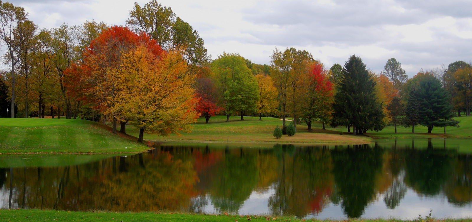 stromy, podzim, zahrada, jezero, voda, Příroda, odraz, nebe, park, mraky, rybník, 2013, kurz golfu, Ohio, strom, podzim, list, květ, rostlina, krása, sezóna, odrazy, podzimní listí, louka, zálesí, botanika, dřevina, neperlivá voda