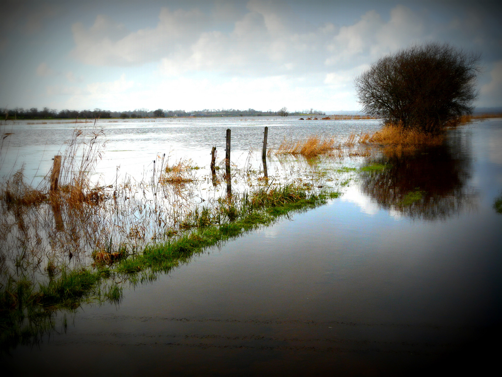 slunečnímu záření, krajina, západ slunce, jezero, voda, Příroda, odraz, tráva, park, svítání, večer, ráno, mlha, řeka, soumrak, Reflex, zaplavit, mokřadní, UMĚNÍ, světlo, strom, podzim, počasí, svítání, sezóna, přírodní, waterscape, blinkagain, přistát, concordians, zrcadlení, bažina, místo výskytu, přírodní prostředí, atmosférický jev, vodní, normandie, Cotentin, močály, Marais, regionální, Bessin