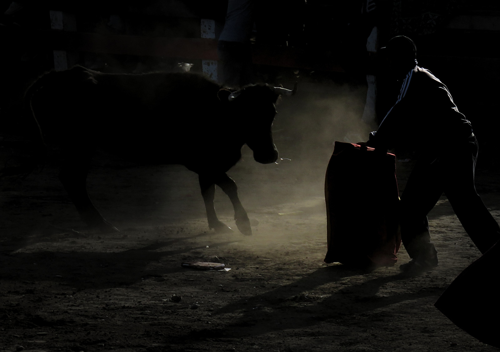 nero, notte, cielo, bandiera, polvere, Ecuador, carnaval, mezzanotte, tori, Toro, Carnevale, leggero, oscurità, Chimborazo, bianco e nero, bestiame come mammifero, fenomeno, toros, tauromachia, Guamote