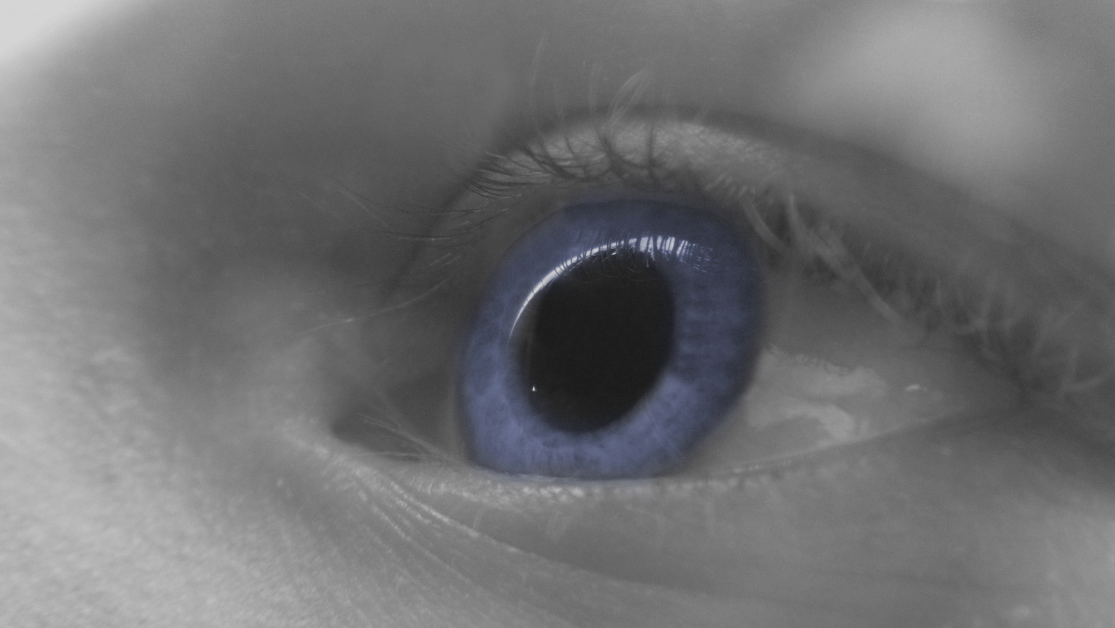 modrý, Duhovka, Černý a bílý, bílý, makro, oko, dívej se, detailní, vidět, dítě, pohled