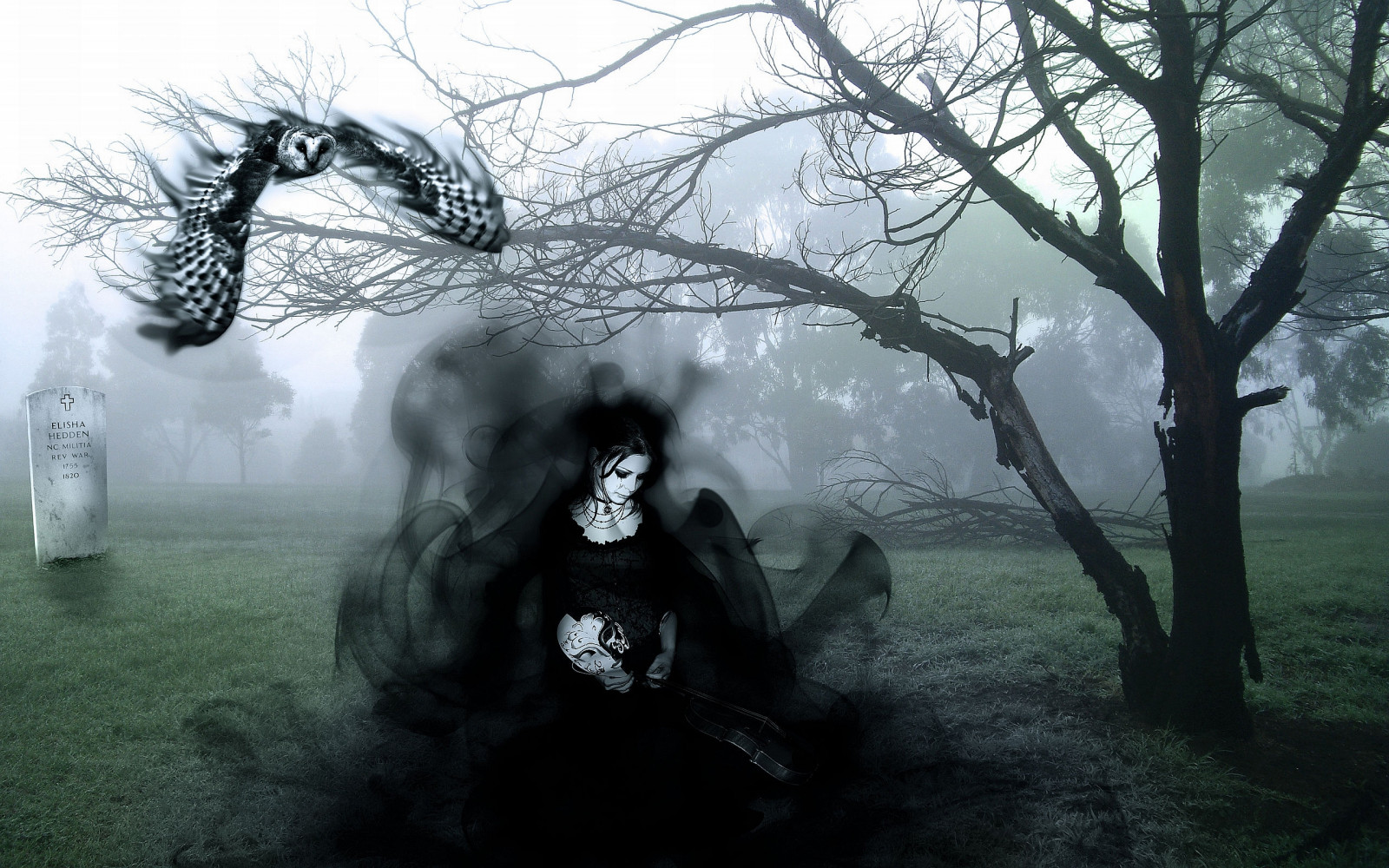 Wallpaper forest, dark, morning, mist, Gothic, tree, fog, weather