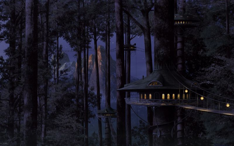 stromy, les, Treehouses, noc, most, půlnoc stromy, les, Treehouses, noc, most, půlnoc