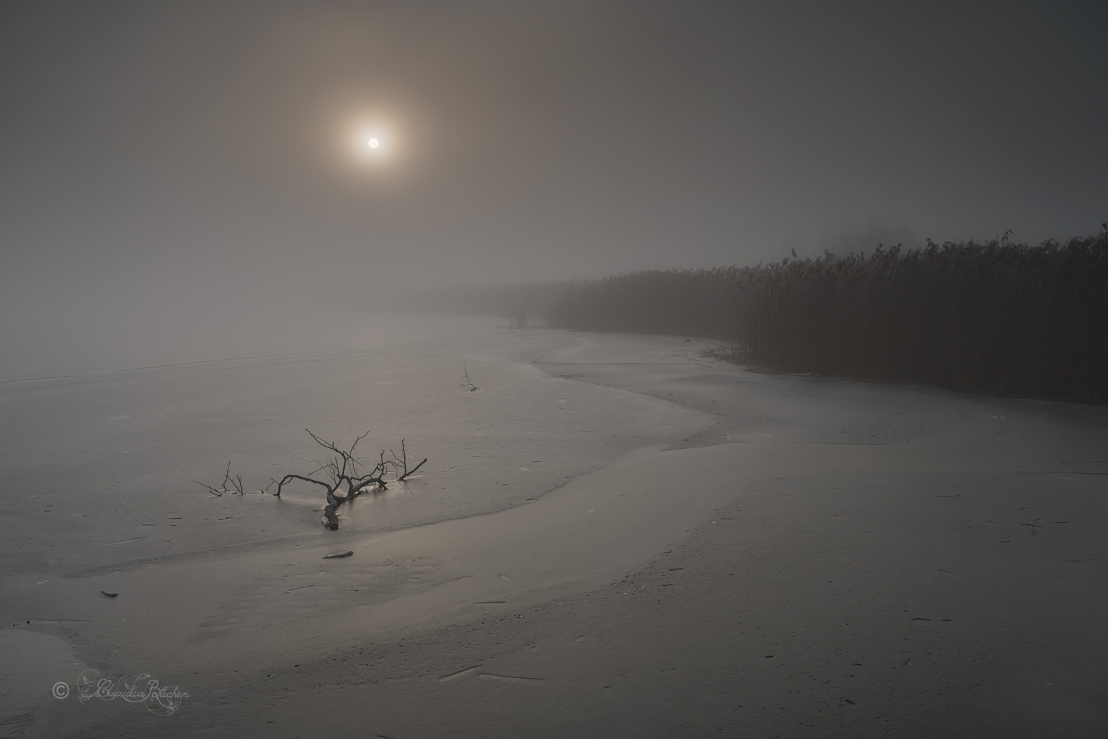 pf ffikersee, eis, น้ำแข็ง, gefrohren, แช่แข็ง, sonnenaufgang, พระอาทิตย์ขึ้น, schweiz, suisse, สวิตเซอร์แลนด์, sonya7r, ฤดูหนาว, landschaft, แนวนอน, ดู, ทะเลสาบ, nebel, หมอก, กลางแจ้ง