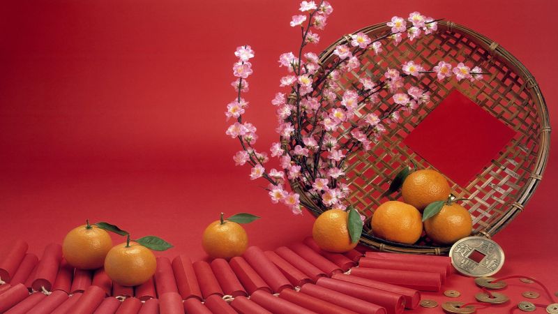 그림, 식품, 간단한 배경, 꽃들, 식물, 주황색 그림, 식품, 간단한 배경, 꽃들, 식물, 주황색