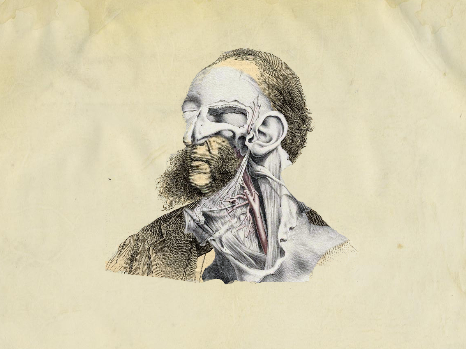 výkres, malování, ilustrace, portrét, koláž, umělecká díla, UMĚNÍ, digitální, vousy, visual arts, human behavior