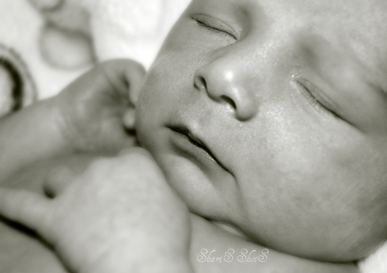 garçon, bébé, noir blanc, cousin, 2 semaines, Septembre 2008, Carterchainskye