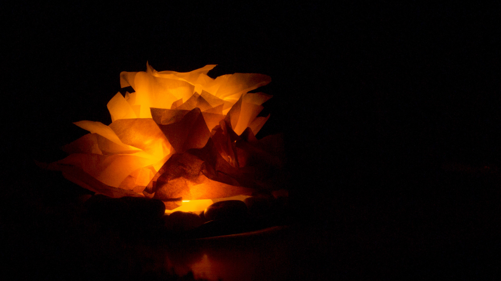 Wallpaper yellow, light, leaf, lighting, orange, darkness, still life