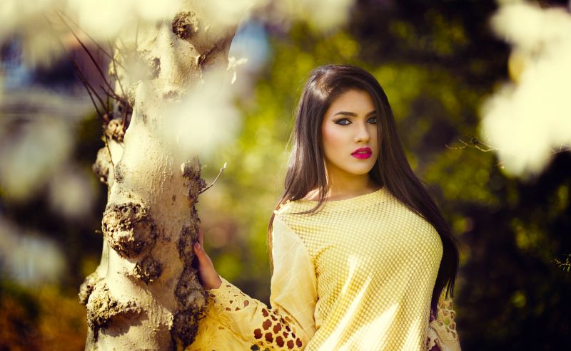 stromy, ženy, model, asijský, slunečnímu záření, portrét stromy, ženy, model, asijský, slunečnímu záření, portrét