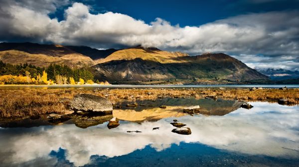 trees, landscape, mountains, sea, forest, hill