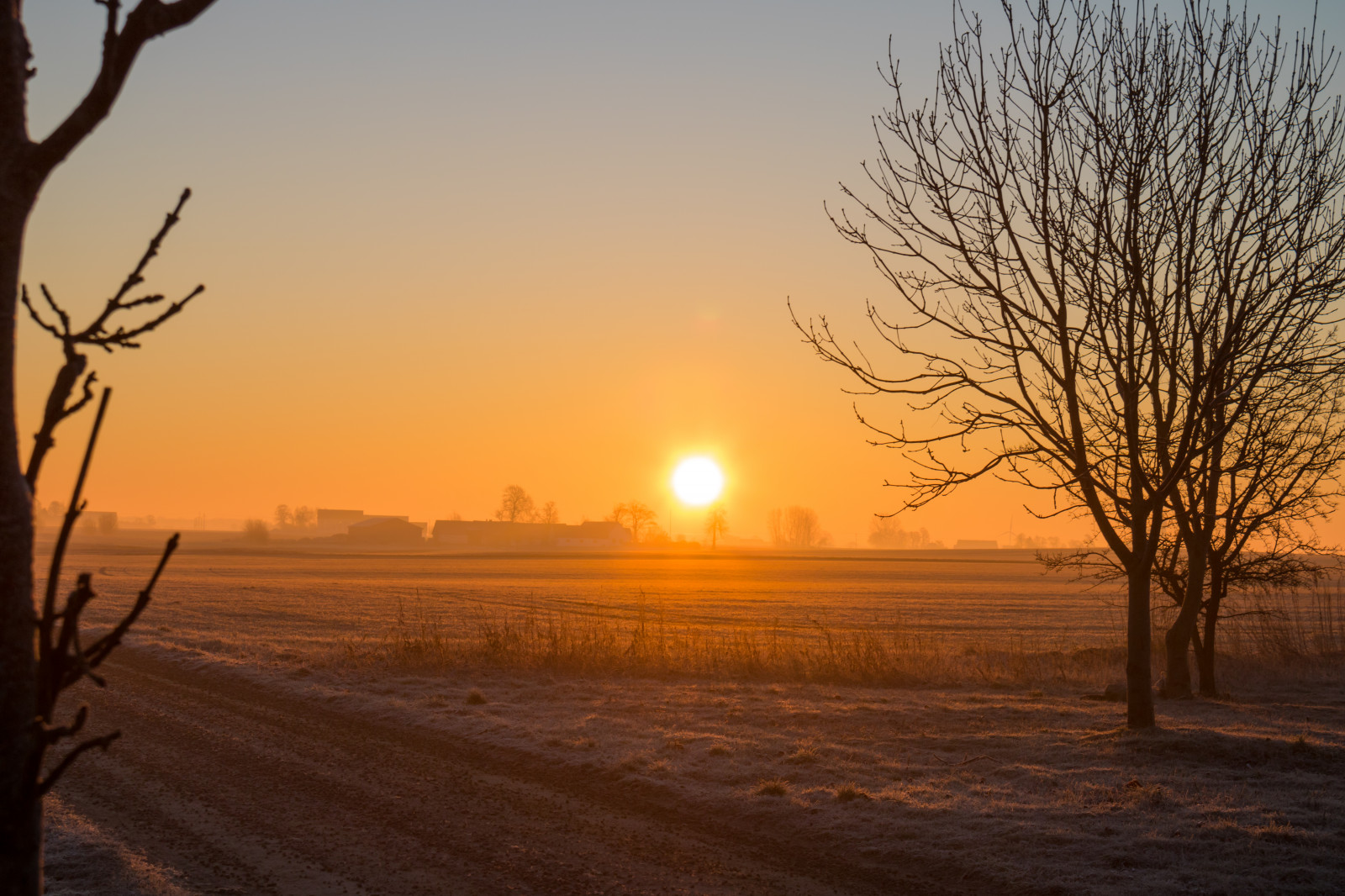 slunečnímu záření, krajina, západ slunce, Příroda, nebe, zima, větev, svítání, večer, ráno, mlha, slunce, horizont, soumrak, slunce, strom, svítání, sezóna, nebe, venkov, landsbygd, soluppg ng, landskap, morgon, atmosférický jev, odlesk