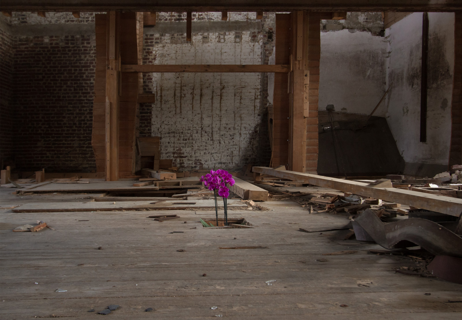 chrám, les, starý, květiny, Příroda, milovat, stěna, dřevo, Ztracený, relaxační, Kánon, sama, Francie, prsa, Evropa, Dovolená, šťastný, Drsný, továrna, svoboda, akt, Volný, uvolnit, uniknout, nostalgie, urbex, UMĚNÍ, světlo, Krásná, barvy, květ, dívka, přírodní, Paměť, sen, sexy, umělec, patro, podlaha, dno, dobrodružství, návštěva, ráj, půvabný, Picardie, jako, Snímek obrazovky, urban area, dávná historie, vstřebává, zničit