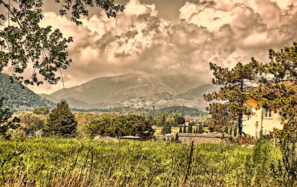 sunlight,landscape,hill,nature,grass,sky