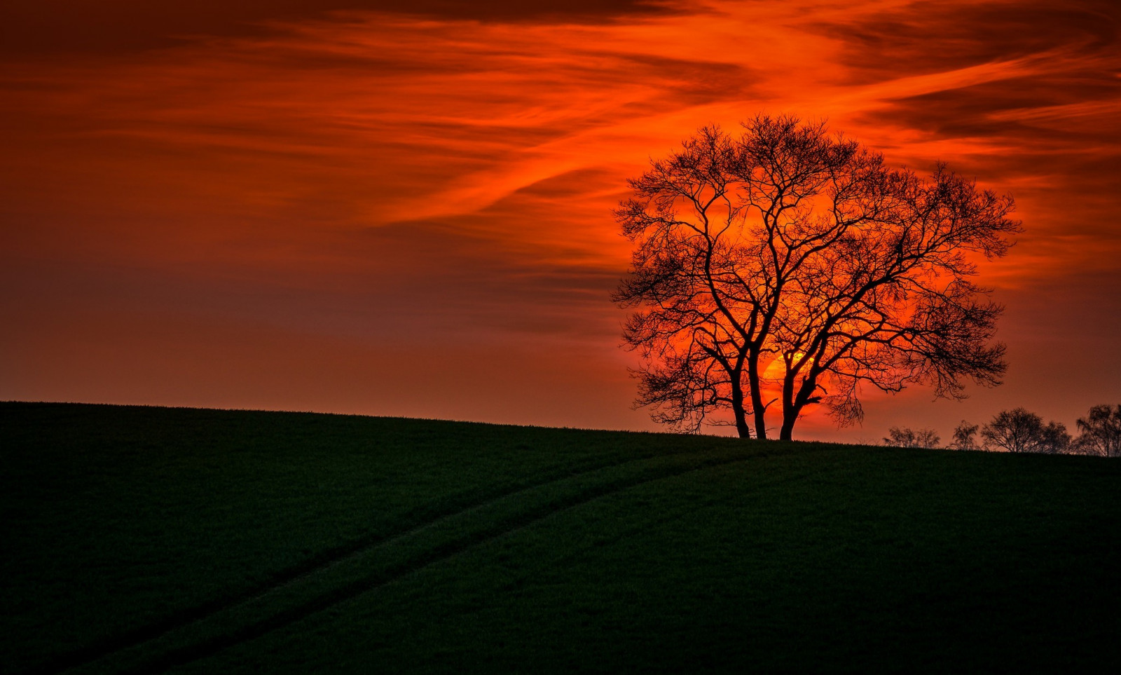 krajina, západ slunce, Příroda, nebe, pole, svítání, večer, ráno, slunce, horizont, atmosféra, soumrak, mrak, strom, svítání, prostý, atmosférický jev, odlesk, červená obloha v dopoledních hodinách, 2048x1233 px