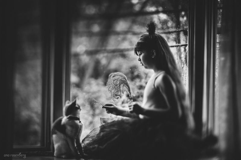 fotografie, Černá, Černý a bílý, savec, obratlovců, monochromatické fotografování