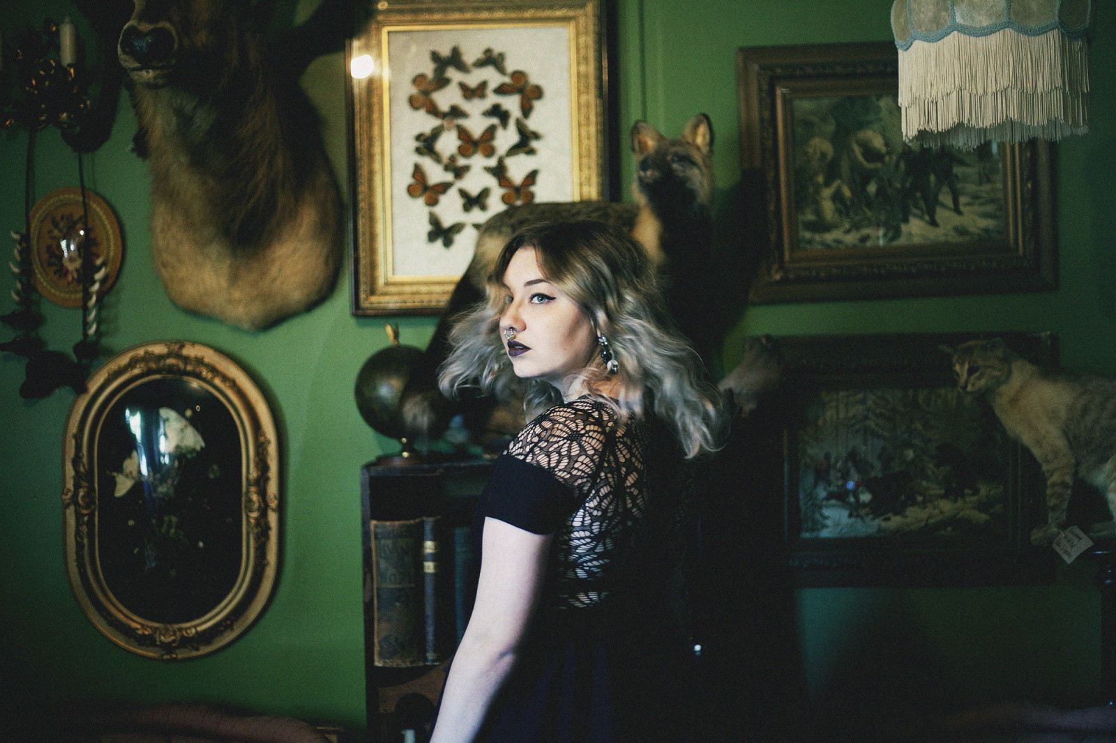 portrét, motýl, Grunge, móda, vlasy, Pojmový, Pojem, zvíře, dívka, IDEA, dáma, dekorace, tma, portrétování, červené rty, nápady, focení, obarvené vlasy, šedé vlasy, vintage clothing