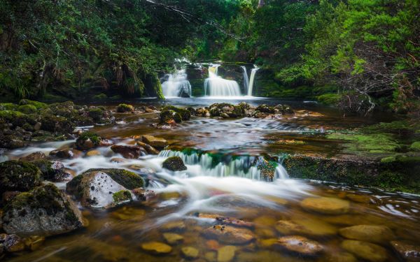nature,water,creek,landscape,flow,waterfall
