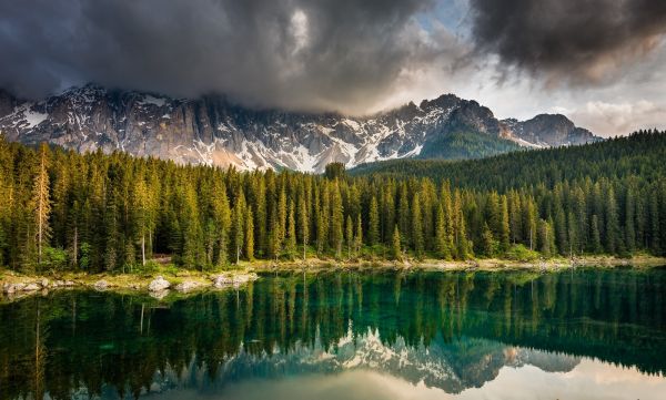trees, landscape, forest, mountains, Italy, lake